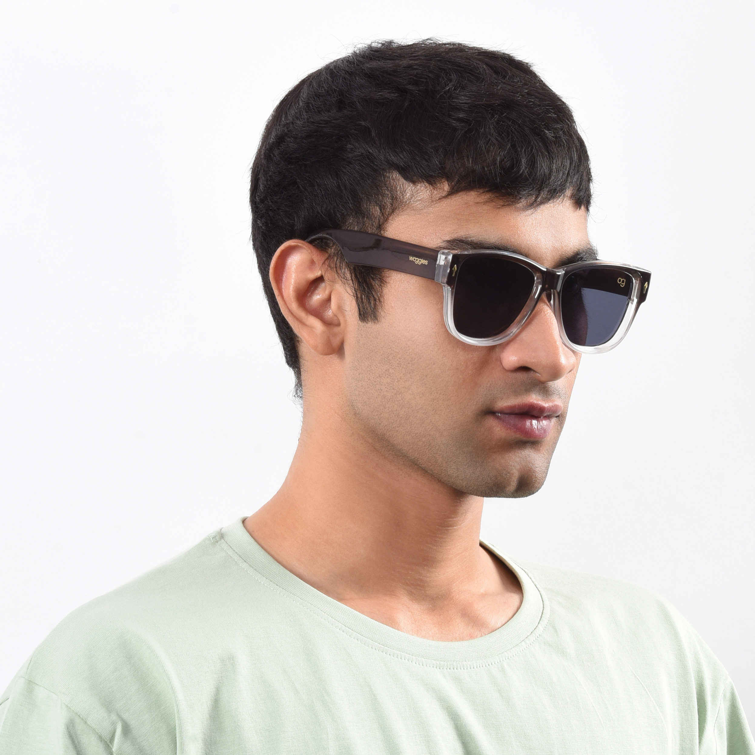 buy wayfarer sunglasses