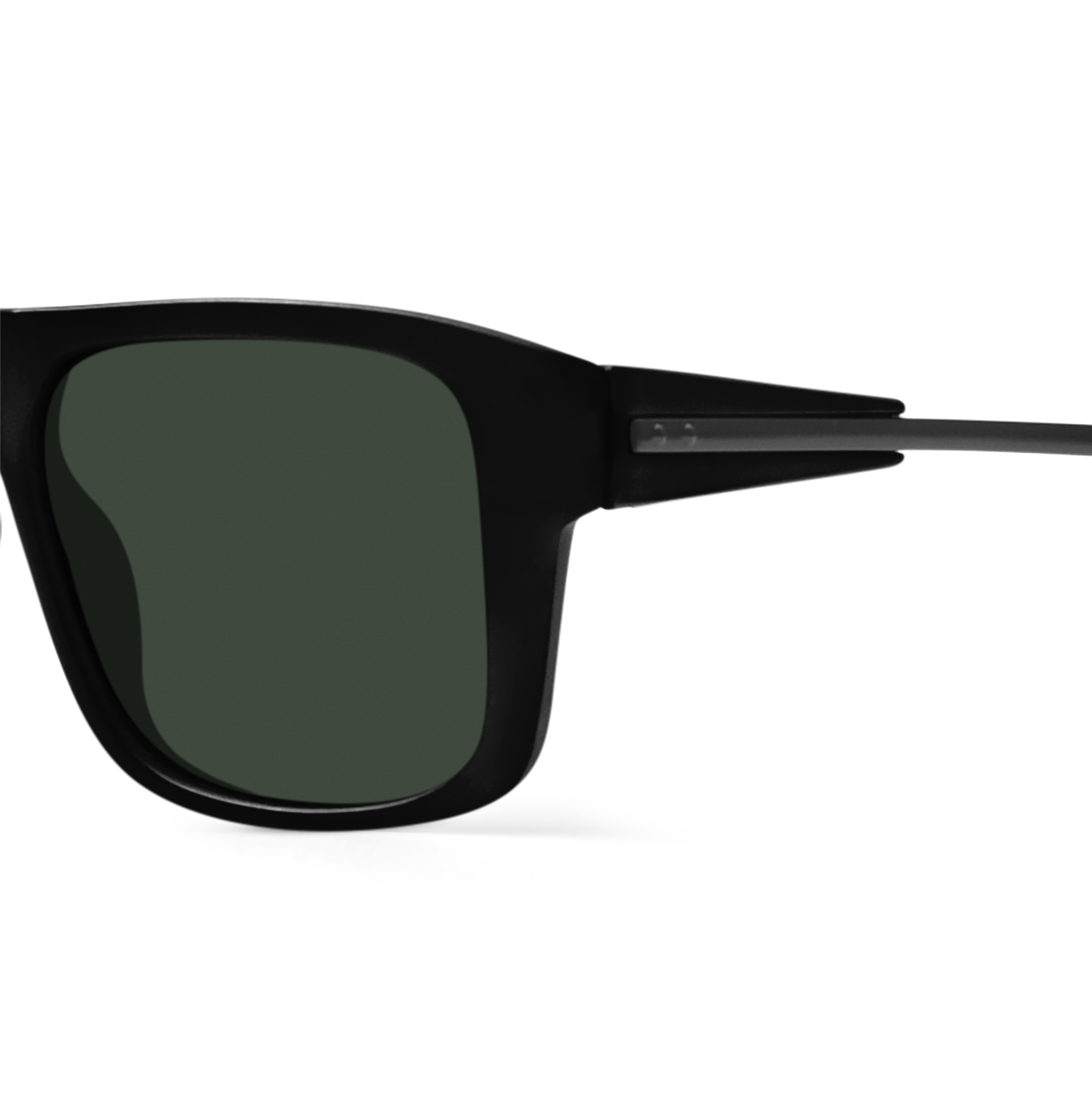 branded wayfarer sunglasses