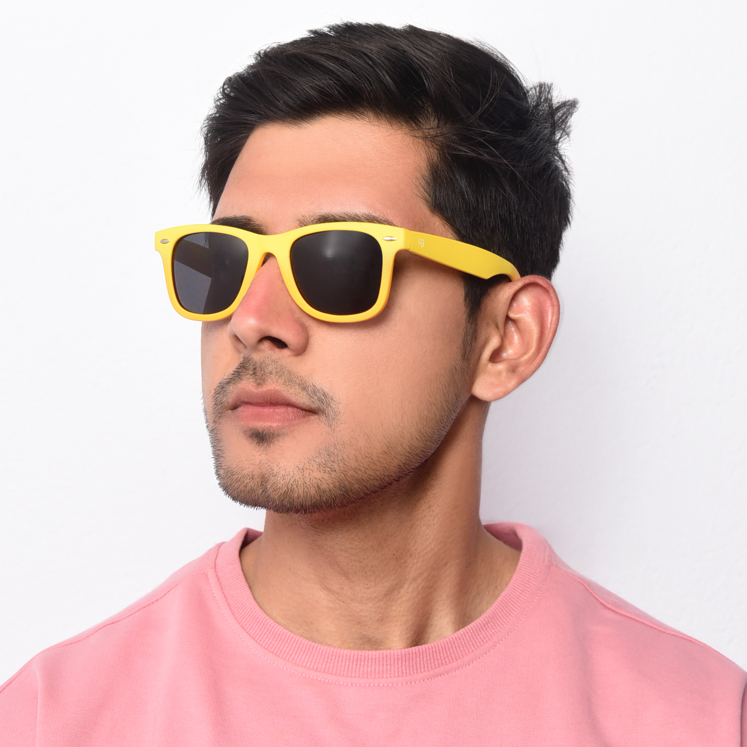 wayfarer 2 sunglasses